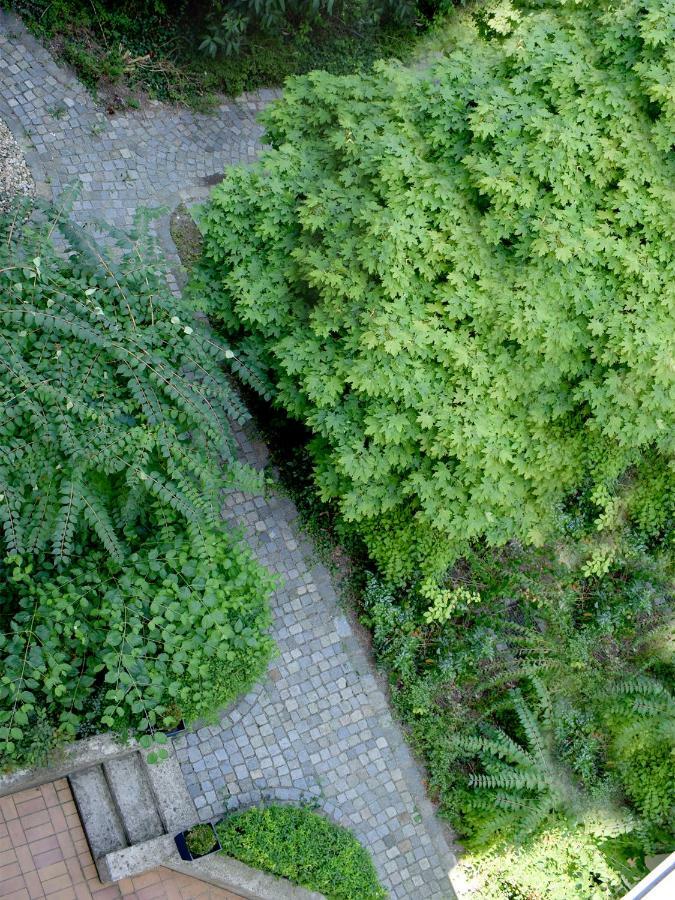 Donau Lodge Boardinghouse اشتراوبينغ المظهر الخارجي الصورة
